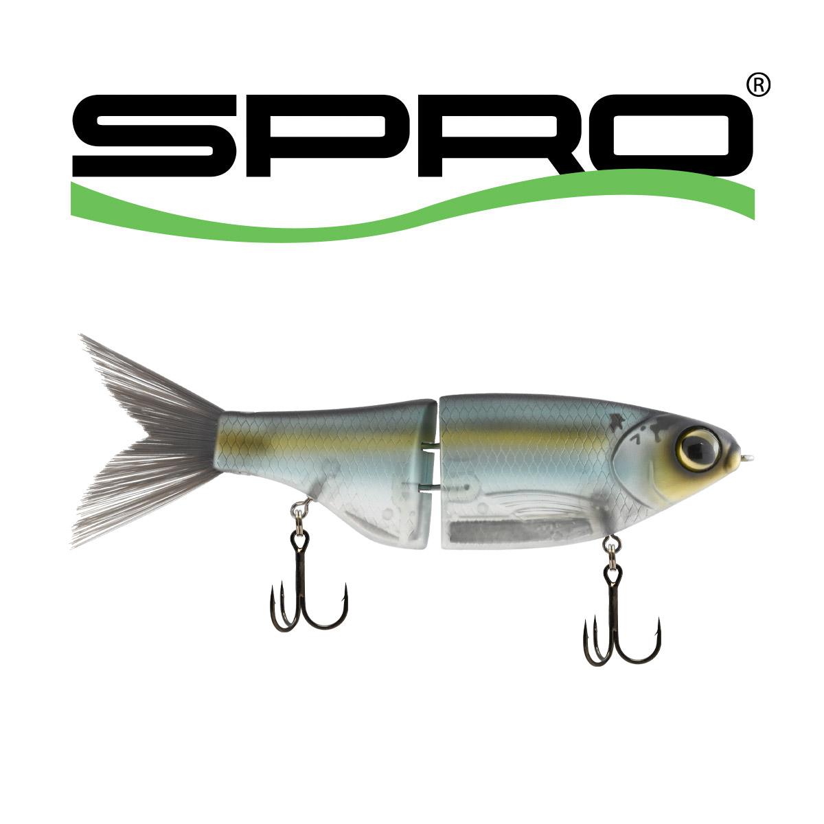 クラブ fishing_ soldier Z-Man Graph ShadZ | Omnia Fishing